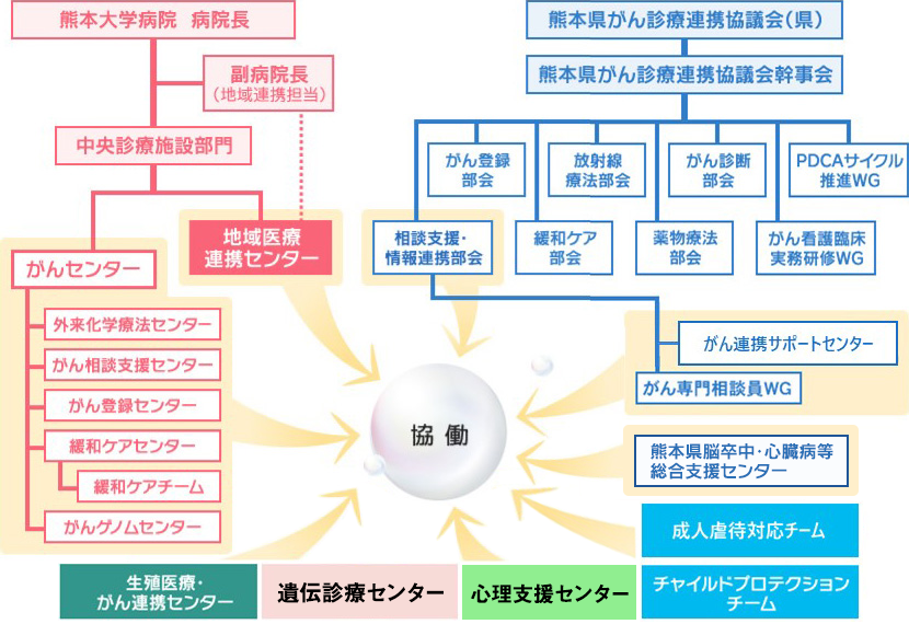 地域医療連携センター組織図